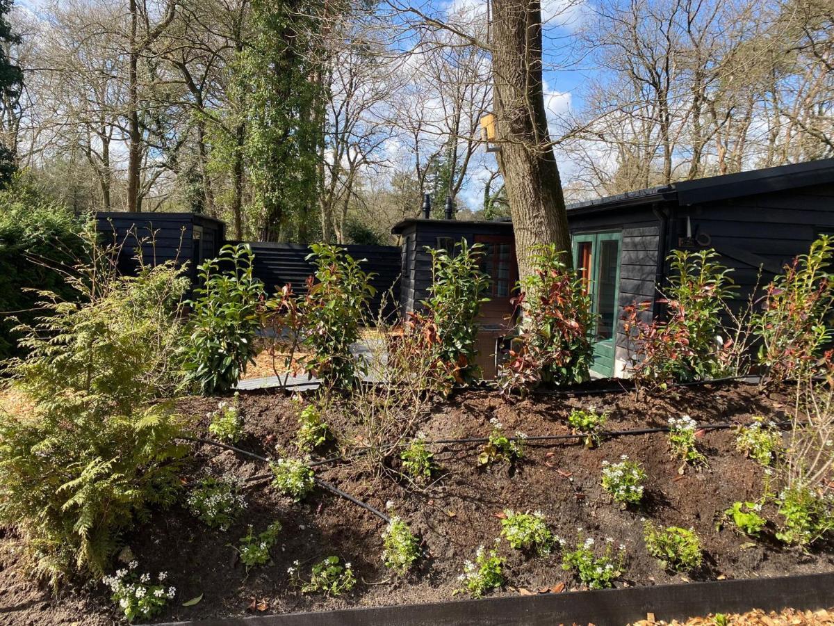 De Veluwse Bos Lodge Otterlo Exterior photo